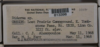 Image Associated With the Occurence